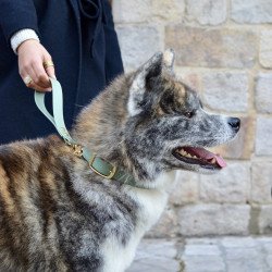 Poignée Vert brouillard (ancien modèle)