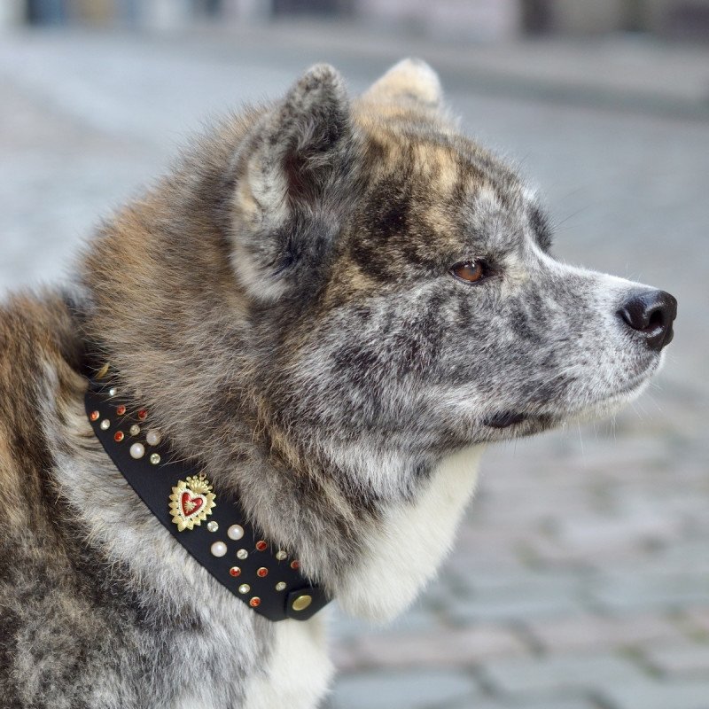 Collier Ex-voto Strass Rouge