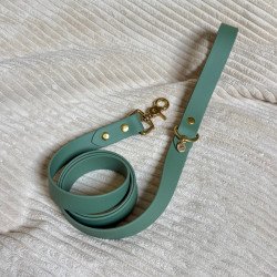 Laisse Simple Vert Brouillard