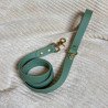 Laisse Simple Vert Brouillard