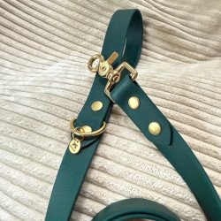Laisse chien 1m20 vert sapin | Artisanale & durable