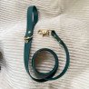 Laisse chien 1m20 vert sapin | Artisanale & durable