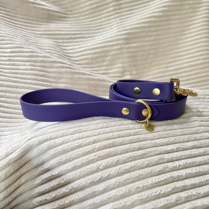 Laisse chien 1m20 violette | Artisanale & durable