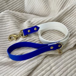 Laisse chien 1m20 bicolore bleu roi et blanc | Artisanale & durable