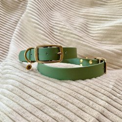 Collier vert brouillard pour chien | Largeur 25 mm