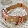 Collier Coulissant Chien Rose doré Biothane